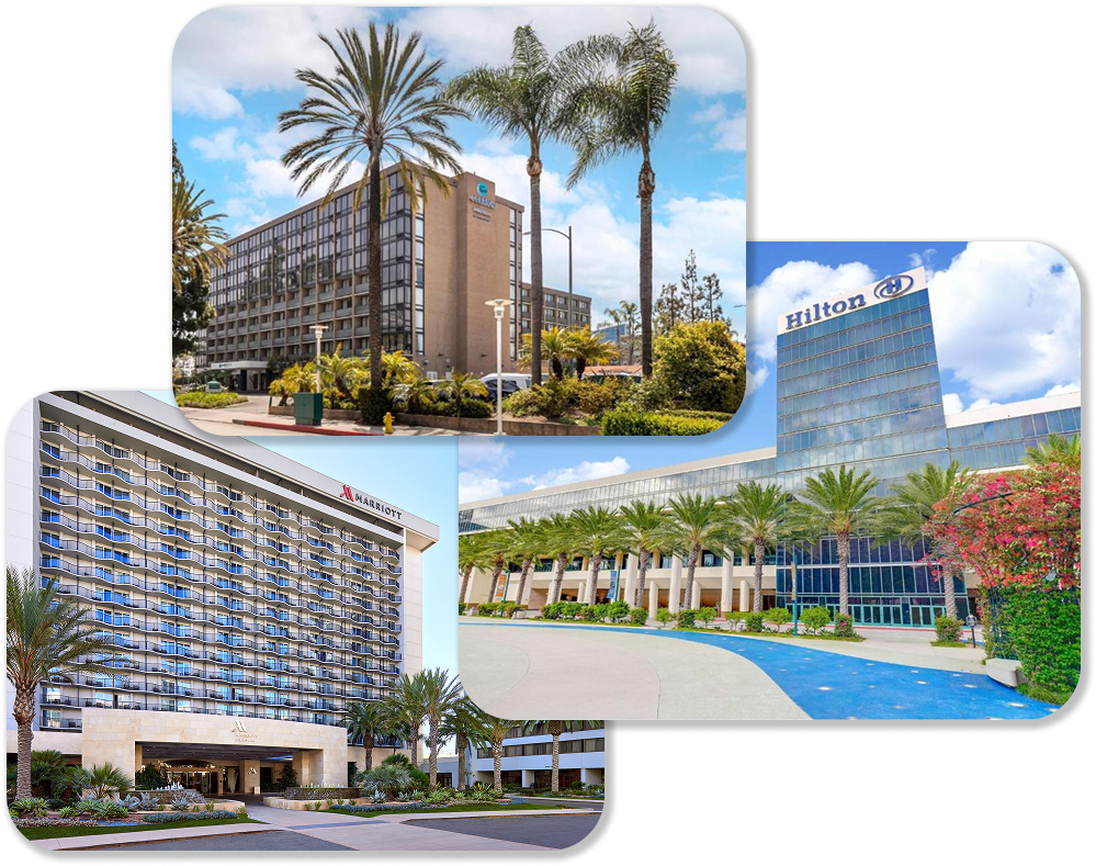 Hotel group Hotel group