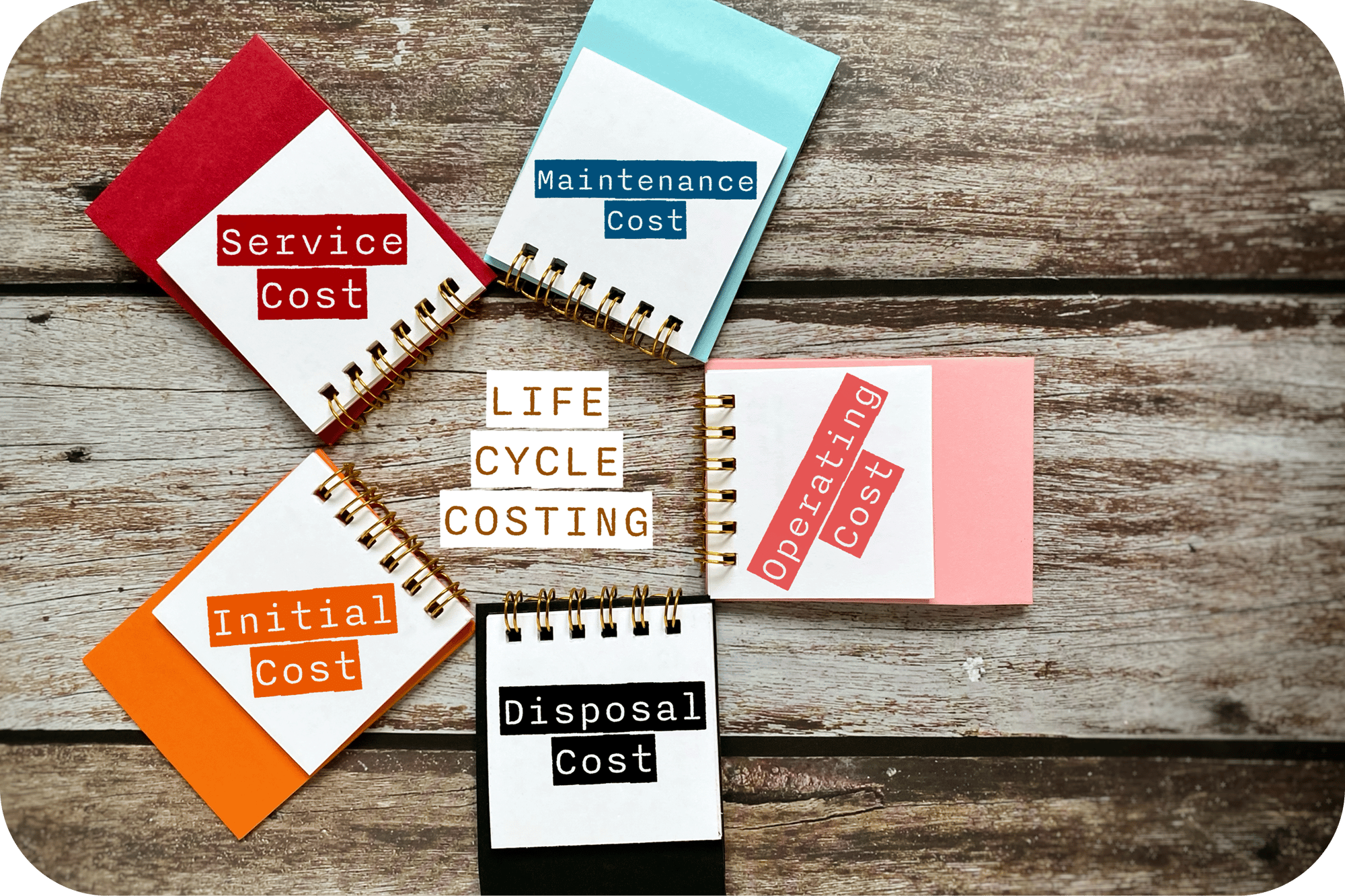 life cycle life cycle