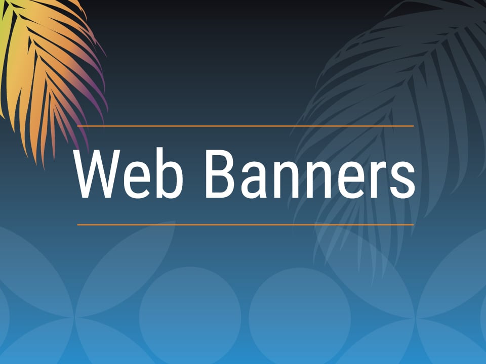 web-banner